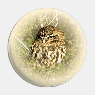 Little owl Pin