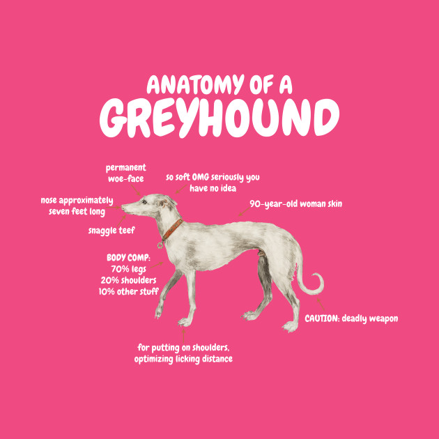 Greyhound Anatomy Chart