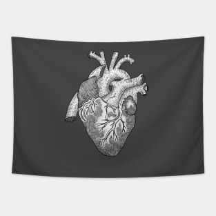 Anatomical Heart Ink Illustration Tapestry