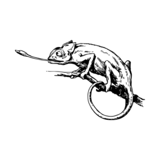 Chameleon Gift T Shirts Teepublic