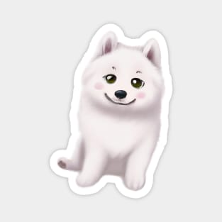 Cute Samoyed Drawing Magnet