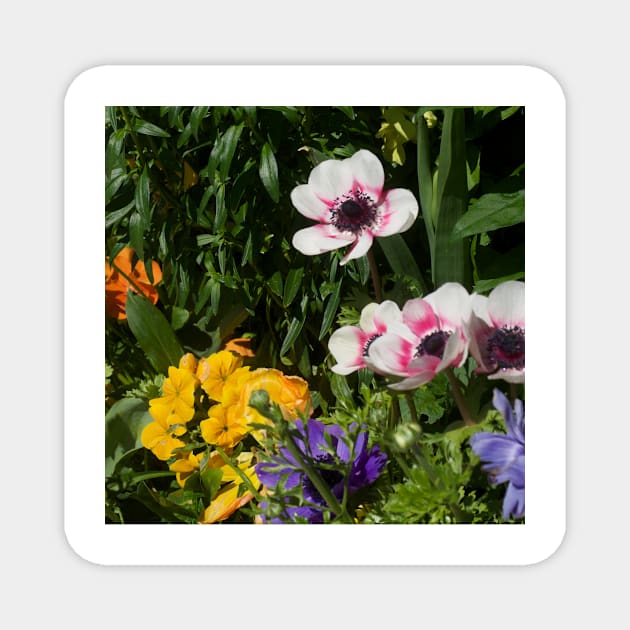 Flowers 18 Magnet by afriedlander