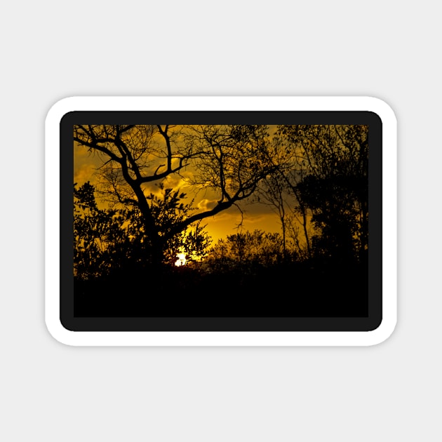 African Sunset Magnet by johnwebbstock