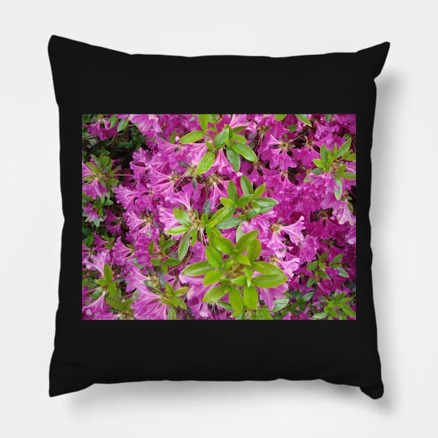 purple flowers Pillow by djil13