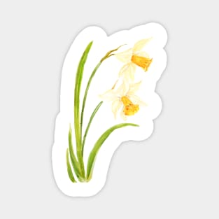 2 daffodils watercolor painting Magnet