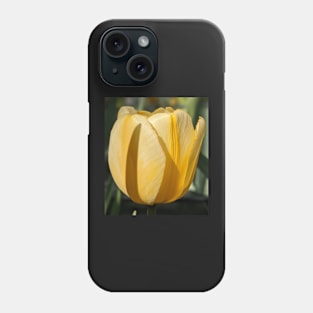 Yellow Tulip Profile 1 Phone Case