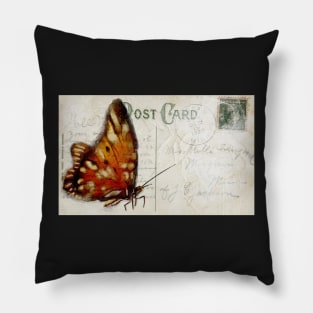 Butterfly Postcard Pillow