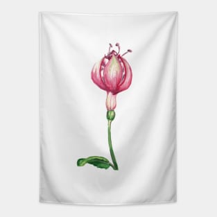 Fuchsia Tapestry