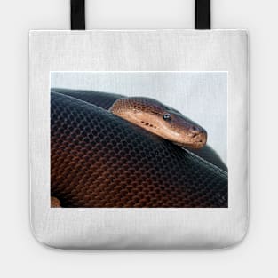 Olive Python Tote