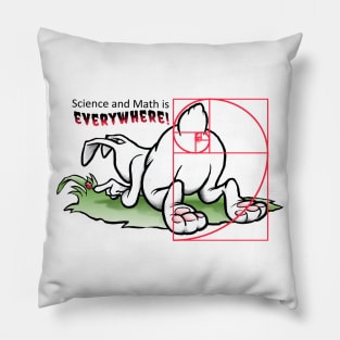 Fibunni Spiral on Light Pillow