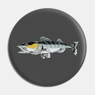 Zander fish Pin