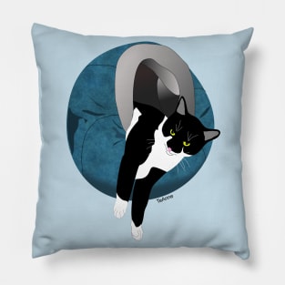 Cute Tuxedo cat in in his Igloo 3 Copyright TeAnne Pillow