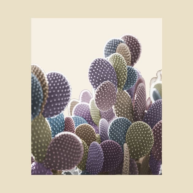 Pastel Cactus: Surreal photo in muted confetti colors by AtlasMirabilis