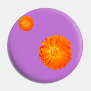 Orange Flower on funky purple background Pin