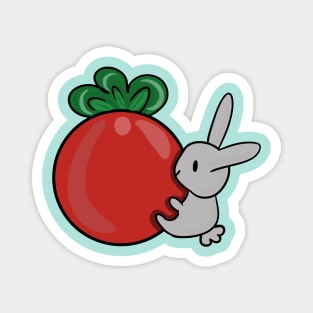 Playfull Bunny Magnet