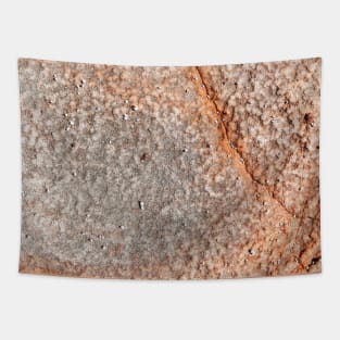 Orange Seaside Rock Erosion Tapestry