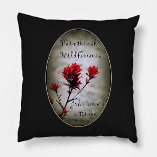 paintbrush wildflowers, Johnston's Ridge 2 oval Pillow