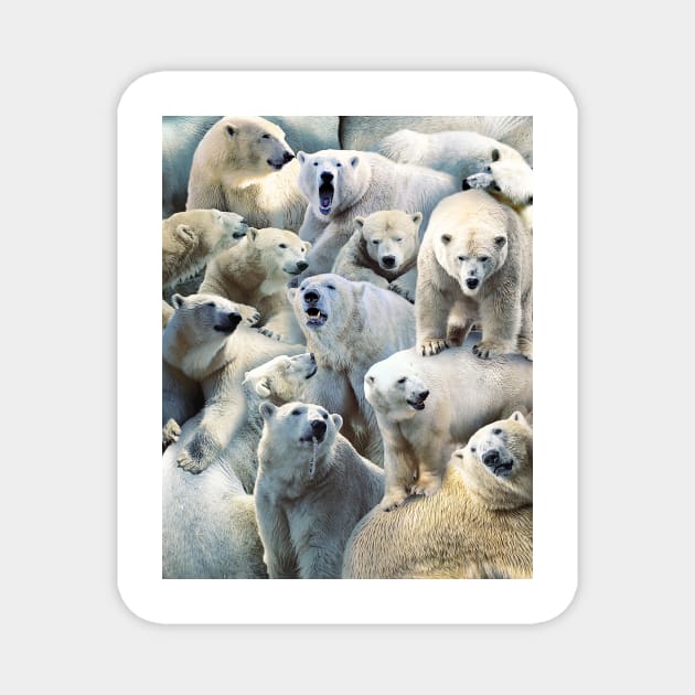 Polar Bears Magnet by MaxencePierrard