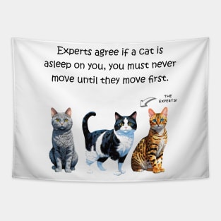 Experts agree if a cat is asleep on you, you must never move until they move first - funny watercolour cat design Tapestry