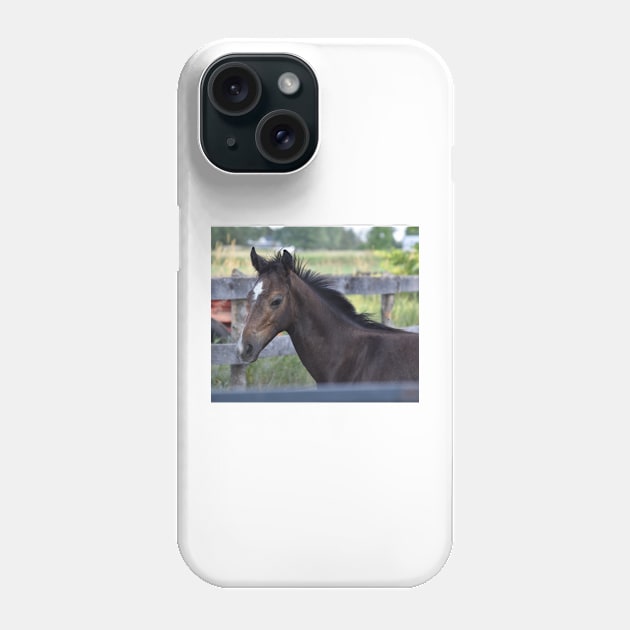 TB colt Phone Case by theartsyeq