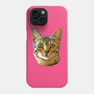 Pussy Cat eyes Phone Case