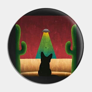 UFO in the desert Pin