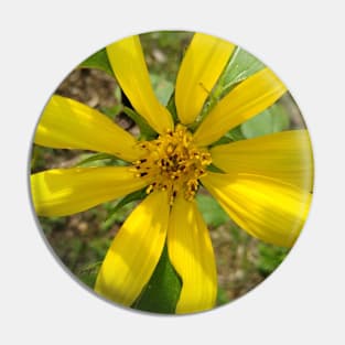 Small Sunflower Pin