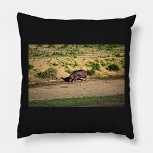 Hippo on Crocodile River 2 Pillow