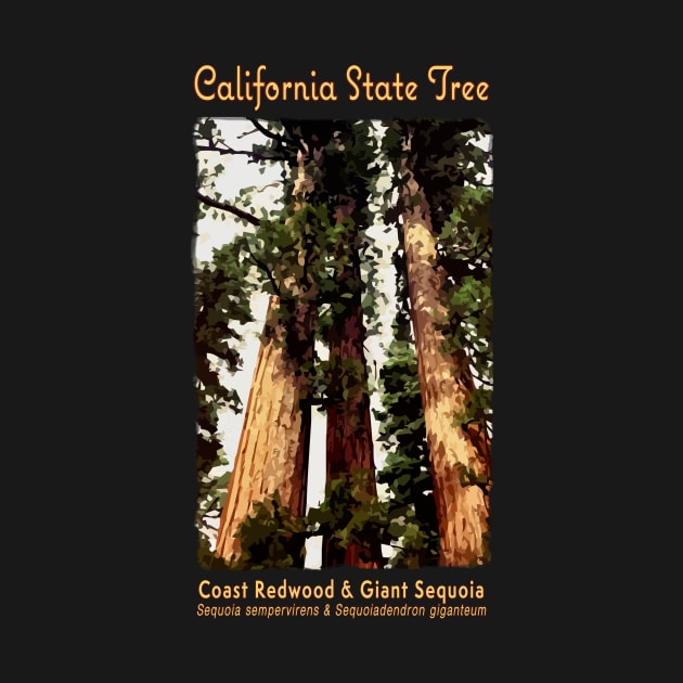 State Tree of California - Redwood, Sequoia Big Trees by jdunster