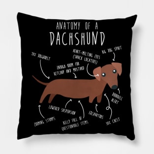 Red Dachshund Dog Anatomy Pillow