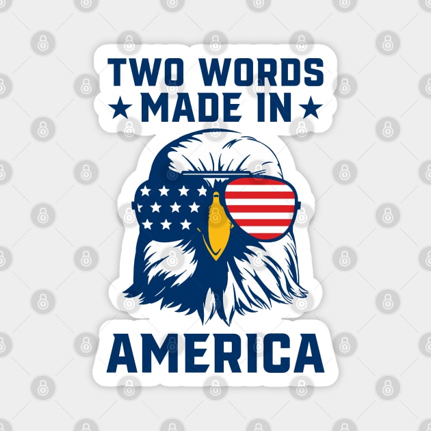 Joe Biden Says Two Words Made In America USA American Flag Funny Biden 2 Words Quote Magnet by Tshirtiz