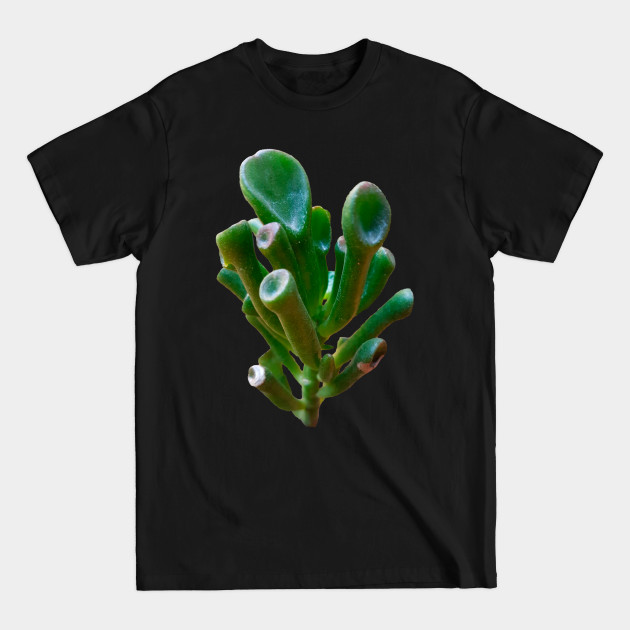 Discover Crassula Ovata Gollum - Suculents - T-Shirt