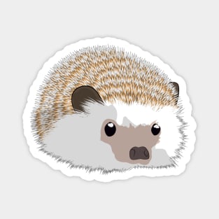 Hedgehog Magnet