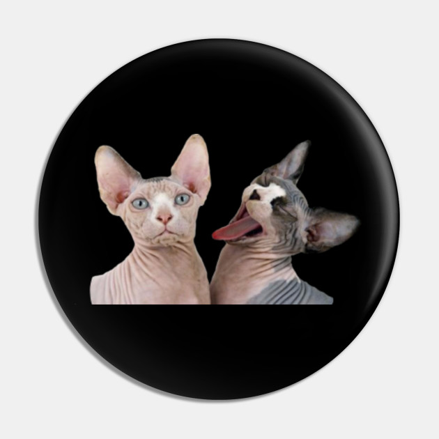 Grumpy Cats Funny Pets Animal Lover Sphynx Cat Pin Teepublic