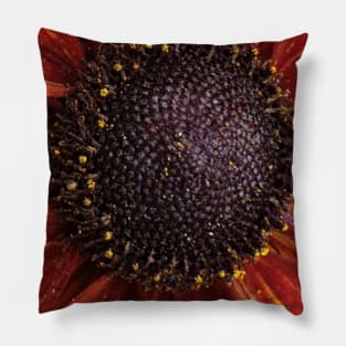 Centre Pillow