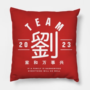 Team 劉 Liú / Lau Pillow