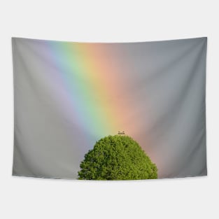 Rainbow / Swiss Artwork Photography Tapestry