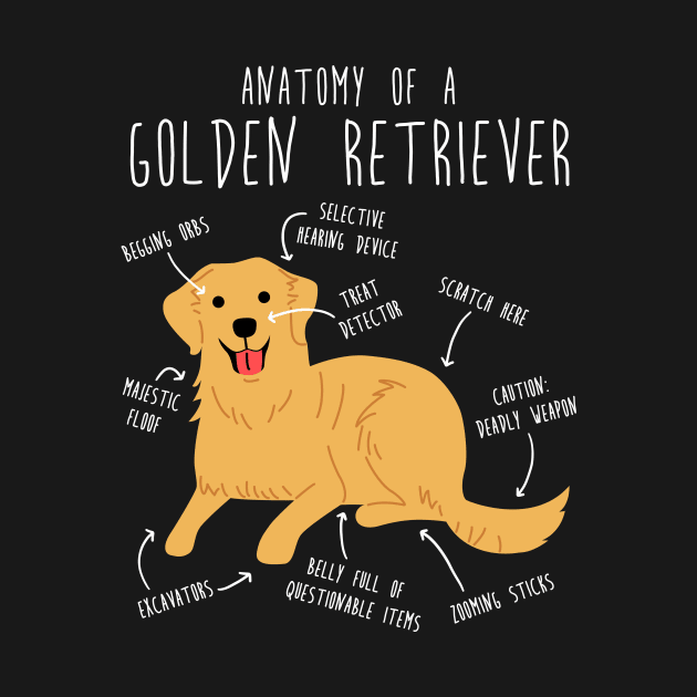 Golden Retriever Anatomy by Psitta