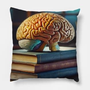 Literature reading Pillow