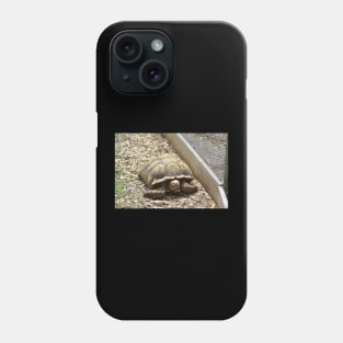 Sulcata Tortoise Phone Case