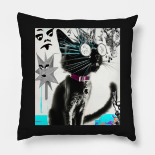 Catlook Pillow