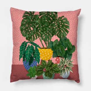 Colourful House Plants 3 Pillow