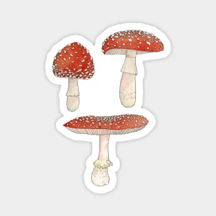 Amanita Mushrooms Watercolor Illustration Magnet