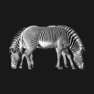 Zebra End to End - Double Stripes T-Shirt