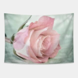 Pink Pastel Rose Mint Green Photography Tapestry