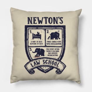 Newton's Law School Pillow