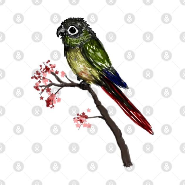 Cute green cheeked conure by Bwiselizzy