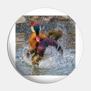 Mandarin Duck Splashing Pin