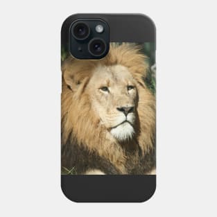 I Am King Phone Case