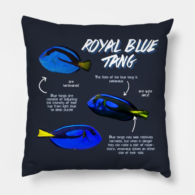 Royal Blue Tang Pillow by Animal Facts and Trivias